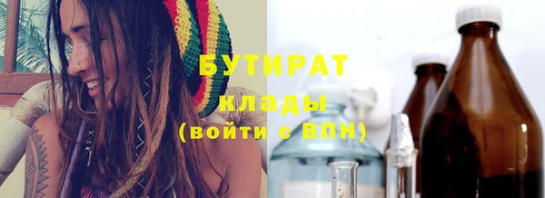 хмурый Ельня